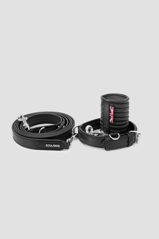 3 in 1 Dog Lead and Collar