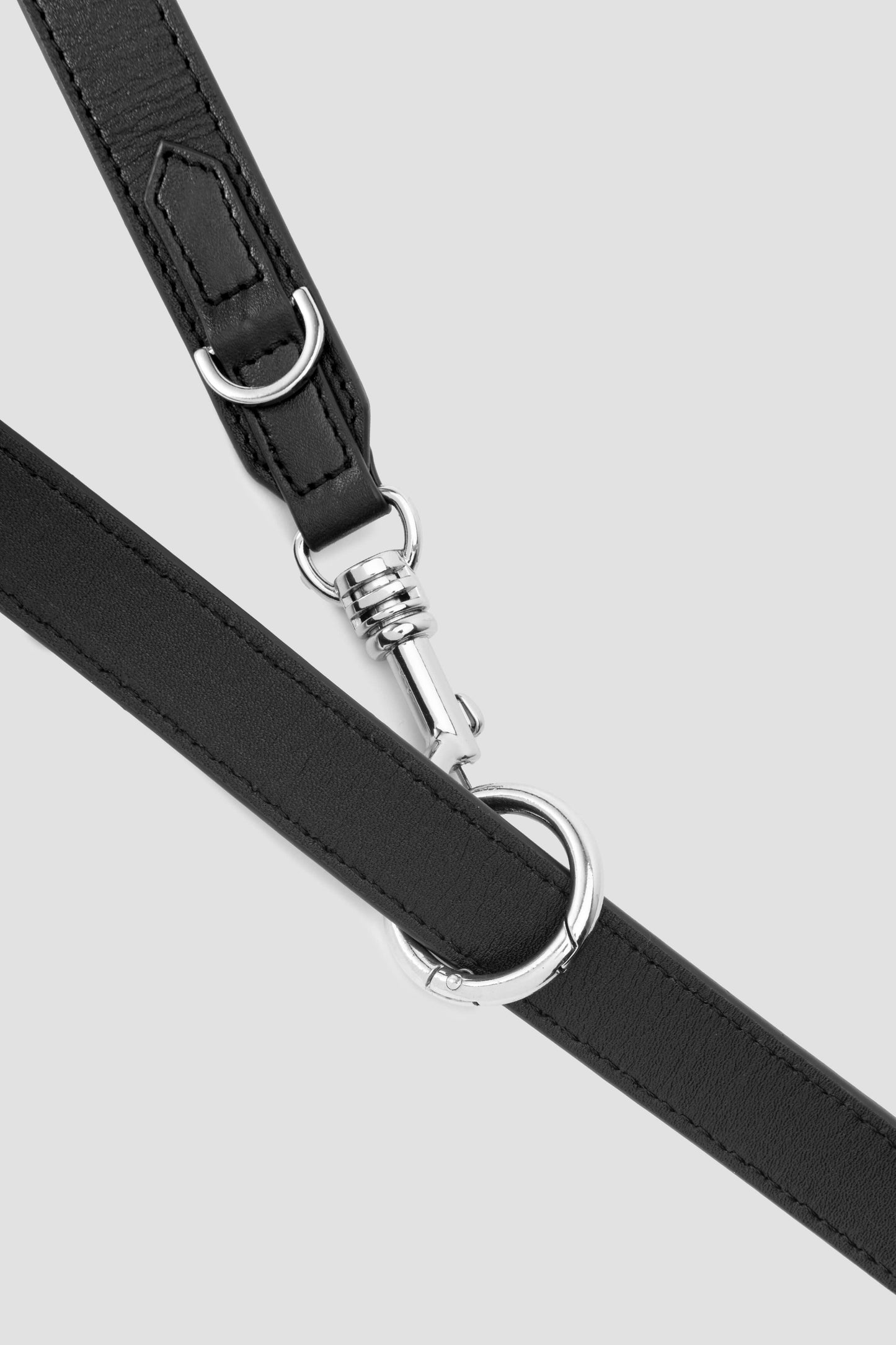 3 in 1 Dog Lead and Collar