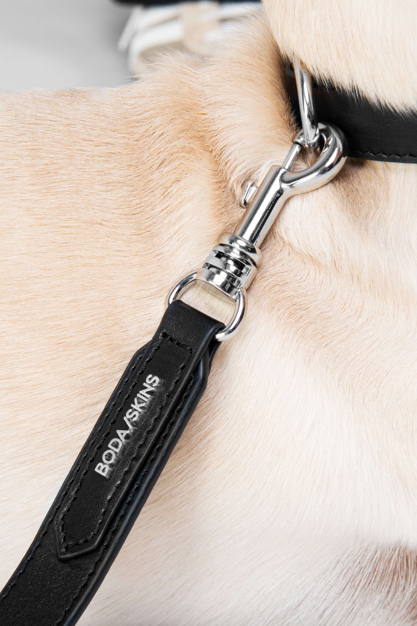 3 in 1 Dog Lead and Collar